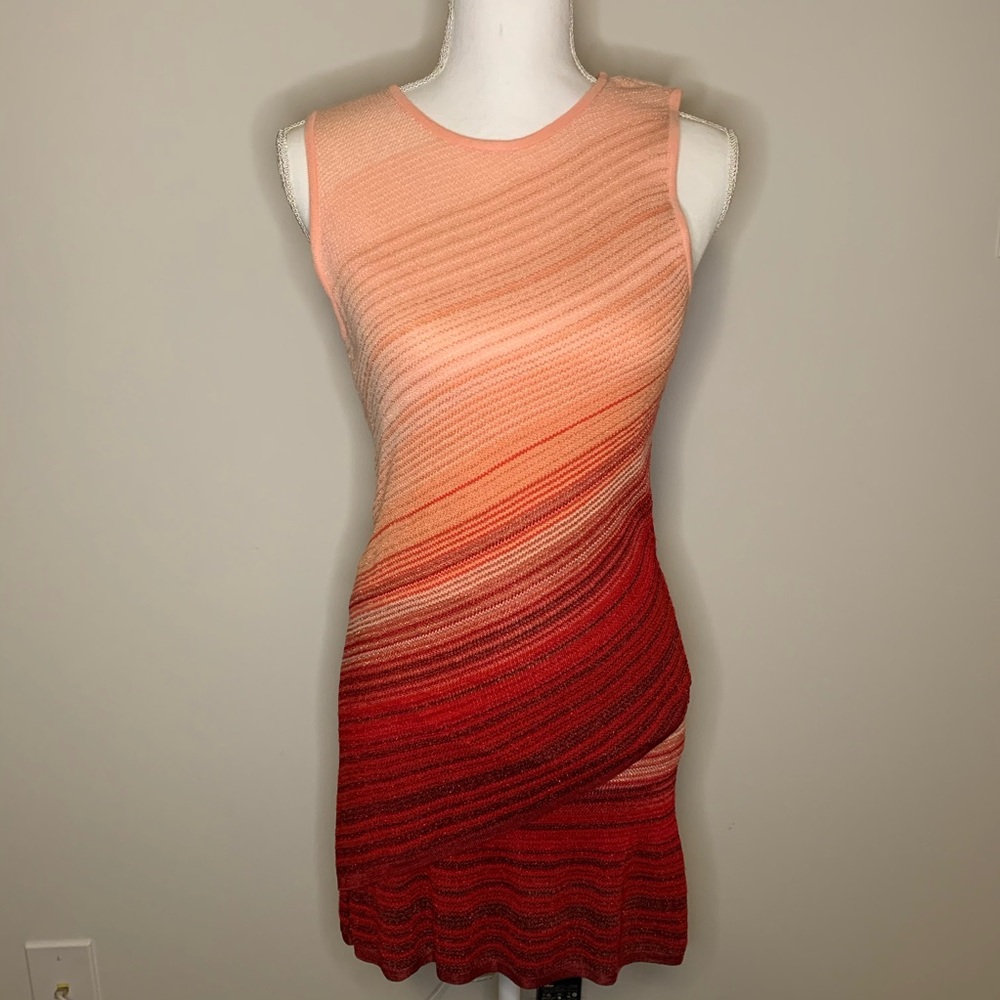 WHBM Ombré Knit Tunic